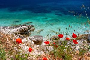 Luxury Seafront Villa Liberty With Private Pool Fiskardo — 29