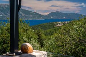 Villa Elisabeth - Private pool near Fiskardo — 23